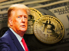 Gia đình Trump thu về hơn 620 triệu USD từ tiền điện tử: Bước ngoặt tài chính và ảnh hưởng sâu rộng tới hệ sinh thái crypto