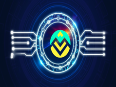MapScan – Tấm gương phản chiếu minh bạch của Blockchain